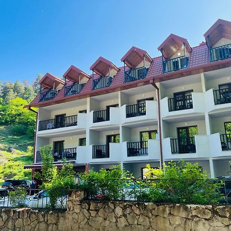 Hotel Iveria Abastumani Εξωτερικό φωτογραφία